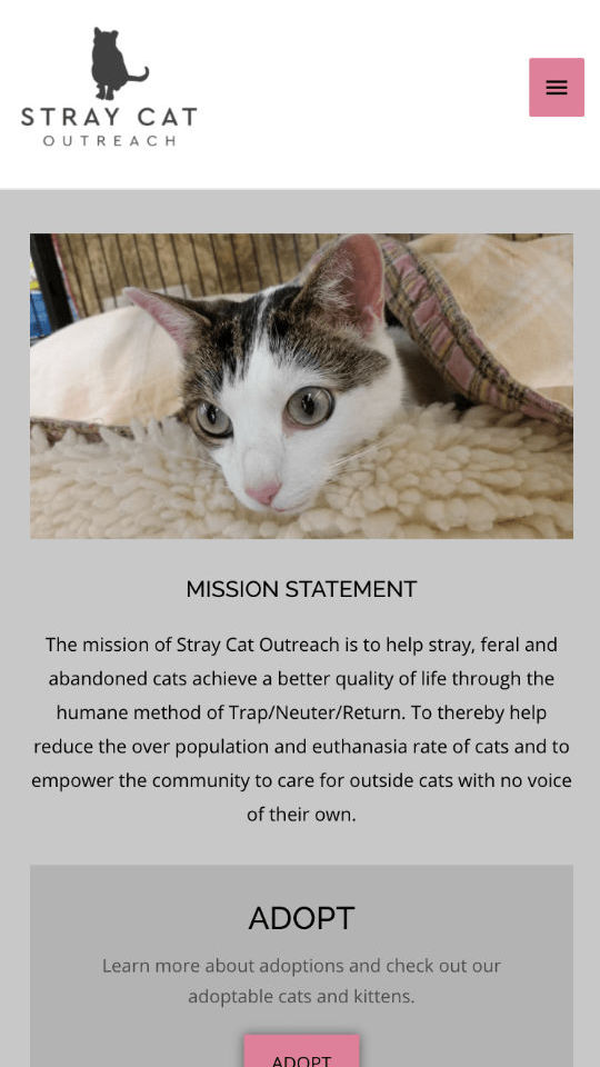 screenshot of website on iPhone - Stray Cat Outreach